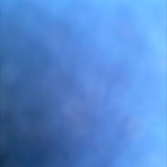 Meet your Posher, Larri - Picture 1 of 1